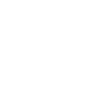 Protectus Group mark
